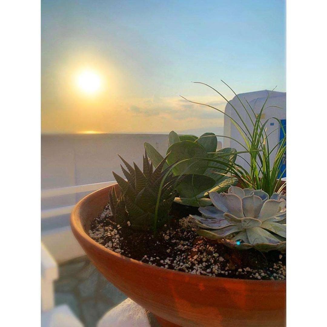 Hotel Madalena Mykonos Town Exteriör bild